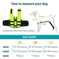 thumbnail image 5 of PETLESO Dog Life Jacket, Adjustable Dog Life Vest, Pet Lifesaver for Swimming, Adjustable Dog Lifesaver Swimsuit Preserver for Large Dogs (Fluor GREEN L), 5 of 6