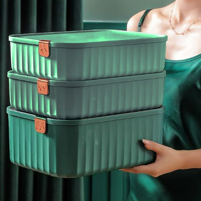 Organizador de ropa interior (paquete de 3), organizador de cajones para ropa, plegable, de tela no tejida, para calcetines, sujetadores, bragas, bufandas y corbatas.