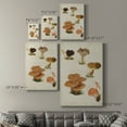 thumbnail image 4 of Mushroom Species V Premium Gallery Wrapped Canvas - Ready to Hang, 4 of 9
