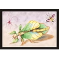 thumbnail image 1 of Three Insect Examples- Fine Art Canvas Print (20" x 30"), 1 of 1