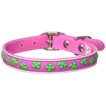 Dublin Dog Limerick Waterproof Collar, Small