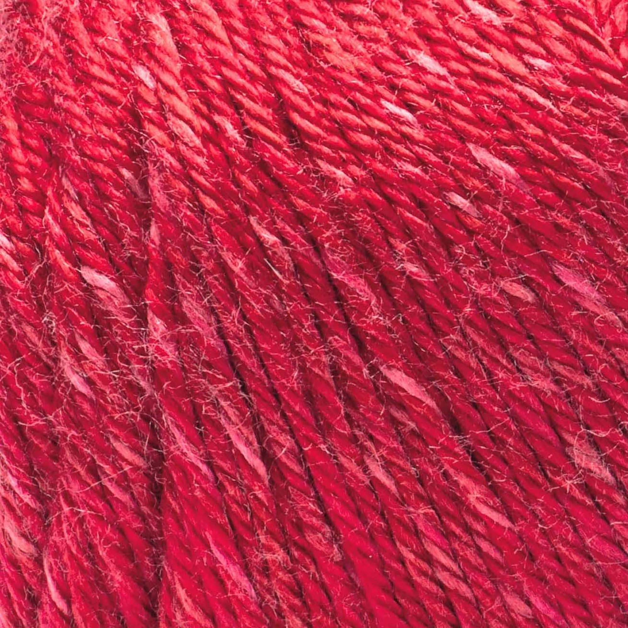 Caron® Simply Soft Sunkissed™ #4 Worsted (Medium) Acrylic Yarn, Tomato Tonal 5oz/141g 248 Yards (3 Pack)