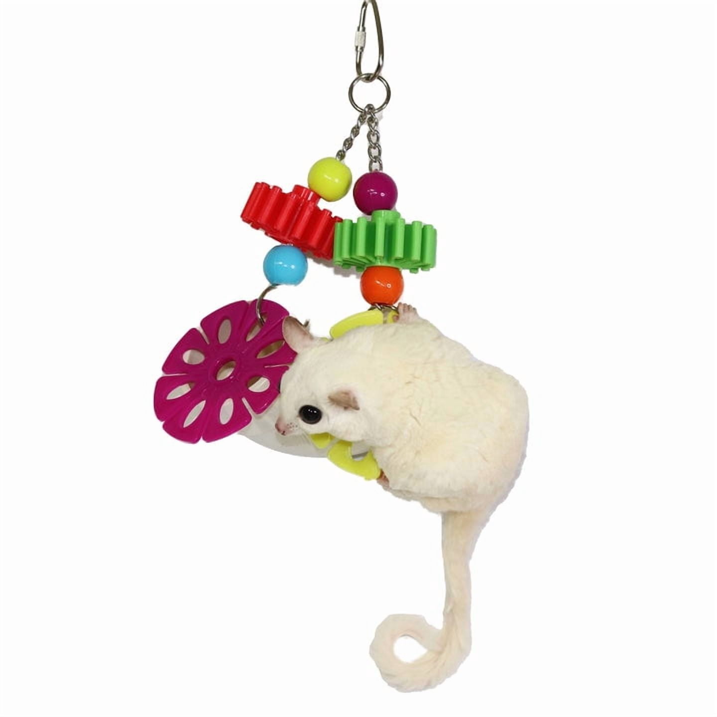 Exotic Nutrition Jungle Canopy Toy Bundle - Colorful Interactive Climbing Forage Cage Accessory Toy Set - for Sugar Gliders, Rats, Ferrets, Hamsters, Squirrels, Parrots, Birds, Marmosets, Degus, Monk