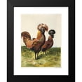 thumbnail image 2 of Harrison Weir 15x18 Black Modern Framed Museum Art Print Titled - Golden-Spangled Polish (1867), 2 of 5