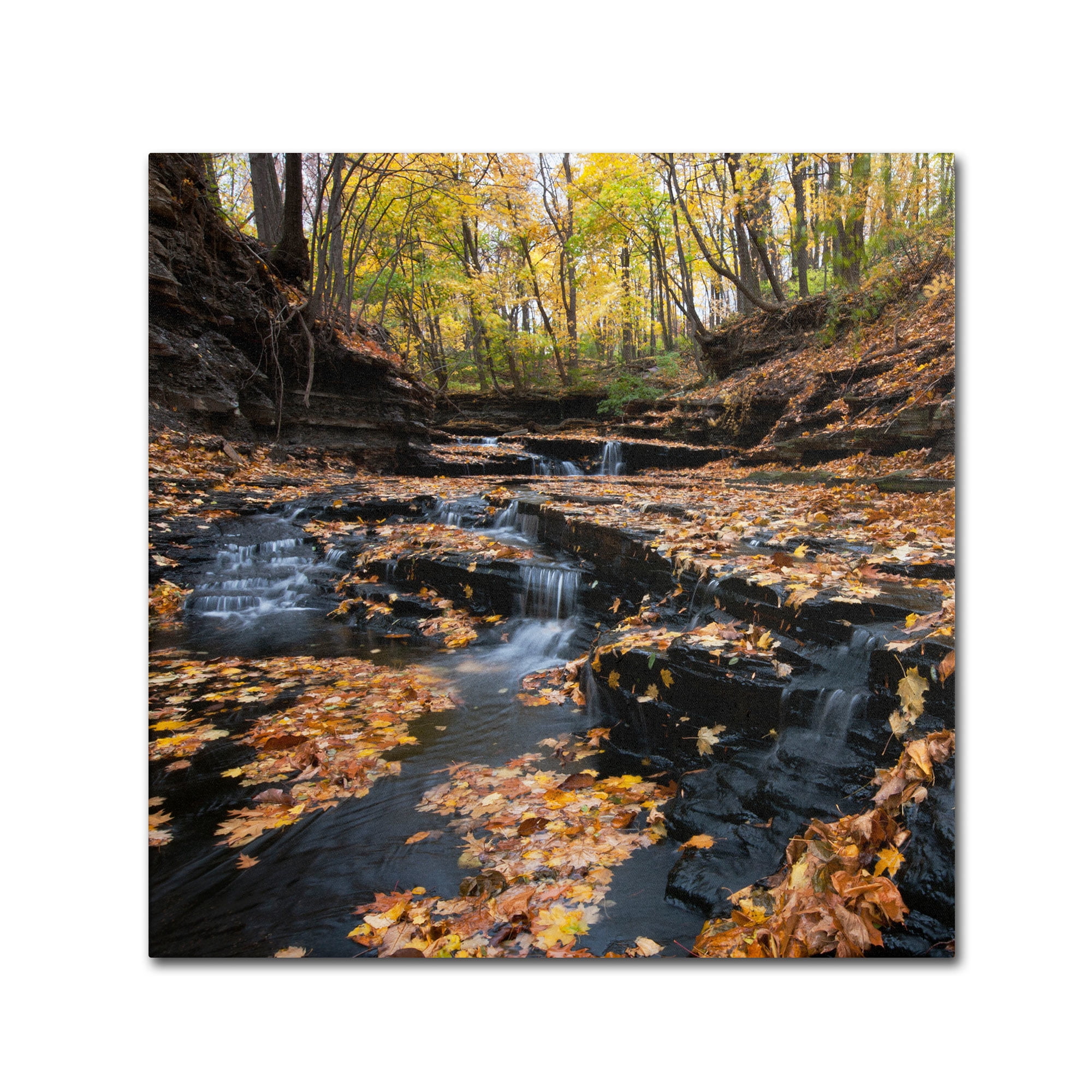 Trademark Fine Art "Late Autumn Falls" Canvas Art by Kurt Shaffer