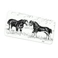 thumbnail image 1 of KuzmarK Automobile Car Tag License Plate -  Clydesdale Drawing pen and ink black white Art by Denise Every, 1 of 1
