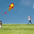 thumbnail image 5 of SALE CLEARANCE 3D Kite Huge Frameless Soft Parafoil Giant Blue Dolphin Breeze Kite, 5 of 5