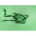 thumbnail image 1 of Ahgly Company Indoor Rectangle Patterned Dragon Green Area Rugs, 8' x 10', 1 of 6