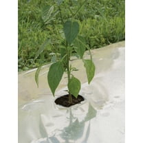 Burpee Garden Products Silver Mulch