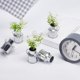 thumbnail image 5 of 6 minijarrones rústicos galvanizados estilo shabby chic, pequeños cubos de metal para casa de muñecas, flores, plantas, jarrones, latas de leche, recipientes para dulces., 5 of 6