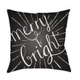 thumbnail image 2 of Surya  Merry & Bright Square Throw Pillow - Blue & White - 18 x 18 x 4 in., 2 of 2