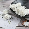 thumbnail image 5 of White Matte Stamens for Crafts, 1360 Pcs Stamens for Artificial Flowers DIY Wedding Party Home Scrapbook Decoration, 5 of 6