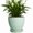 Mint Green, variant on Wliror 6 Inch Mint Green Ceramic Plant Pot with Drainage – Cool Pastel Planter for Indoor Plants, Succulents, Herbs