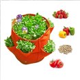 thumbnail image 4 of Macetas para Cultivo de plantas ANGGREK bolsa para Plantar fresas gruesas Ecológicas Azul S, 4 of 7