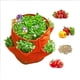 thumbnail image 5 of Macetas para Cultivo de Plantas ANGGREK Bolsa para Plantar Fresas Gruesas Azul S Verde M Naranja L, 5 of 7