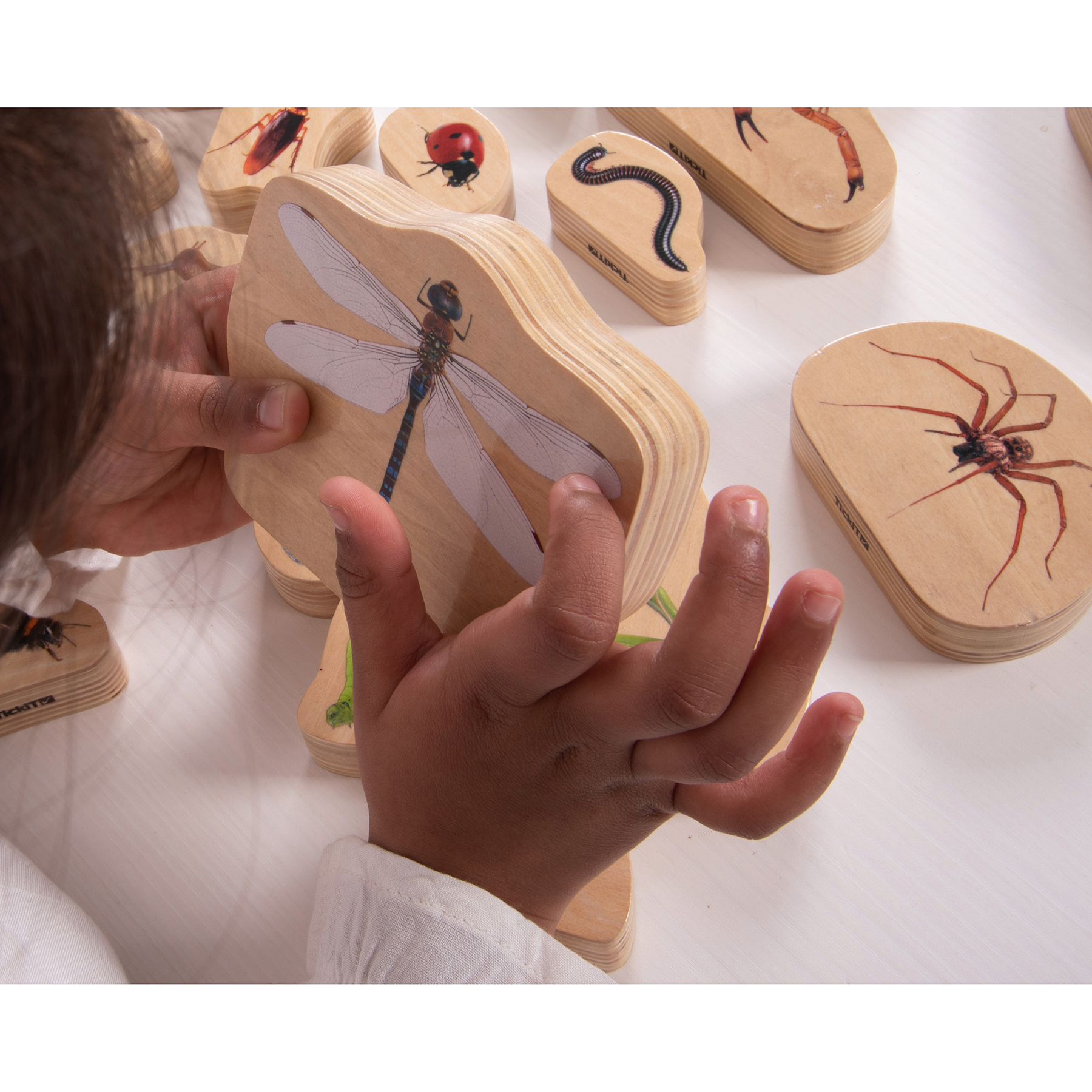 TickiT Wooden Minibeast Blocks - Set of 15