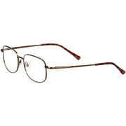 Import-contour Optik Puritan $38