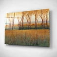 thumbnail image 2 of Epic Art 'Glow in the Afternoon II' by Tim O'Toole, Acrylic Glass Wall Art, 24"x16", 2 of 3