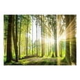 thumbnail image 3 of Tiptophomedecor Landscape Wallpaper Wall Mural - Forest Tales, 3 of 4