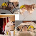 thumbnail image 5 of Washable Female Dog Diaper - Reusable High-quality Dog Diaper, 5 of 5