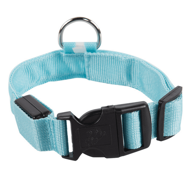 Ilumine las luces del collar de perro para el clip nocturno en el collar de perro LED brillante y de alta visibilidad iluminado Zhivalor Correas y Collares para Perros