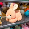 thumbnail image 4 of WGXU Poupée Lapin Mignonne Petit Lapin Blanc Jouet Compagnon pour Enfants, 4 of 5