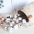 thumbnail image 6 of Cotton Stems Farmhouse Style Display Filler - Floral Decoration, 6 of 8