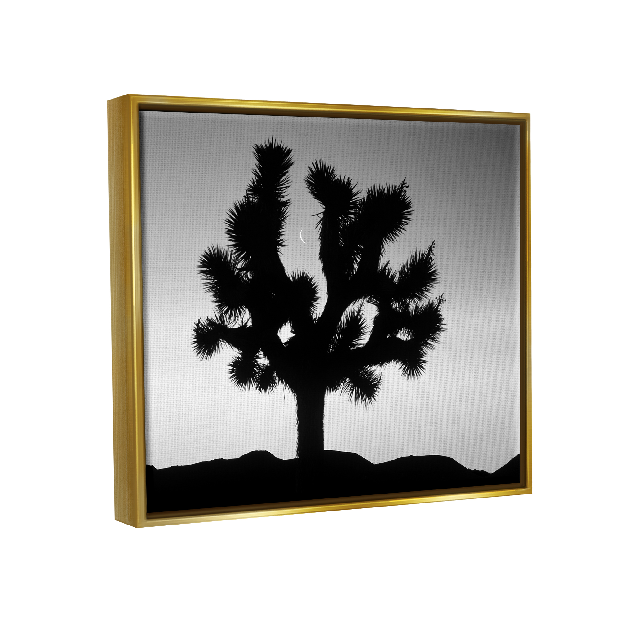 Stupell Industries Monochrome Moonlit Desert Tree Landscape Photography Gold Floater Framed Art Print Wall Art