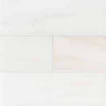 MSI Bianco Dolomite 4 in. x 12 in. Polished Floor and Wall Marble Tile (4.95 sq. ft./Case)