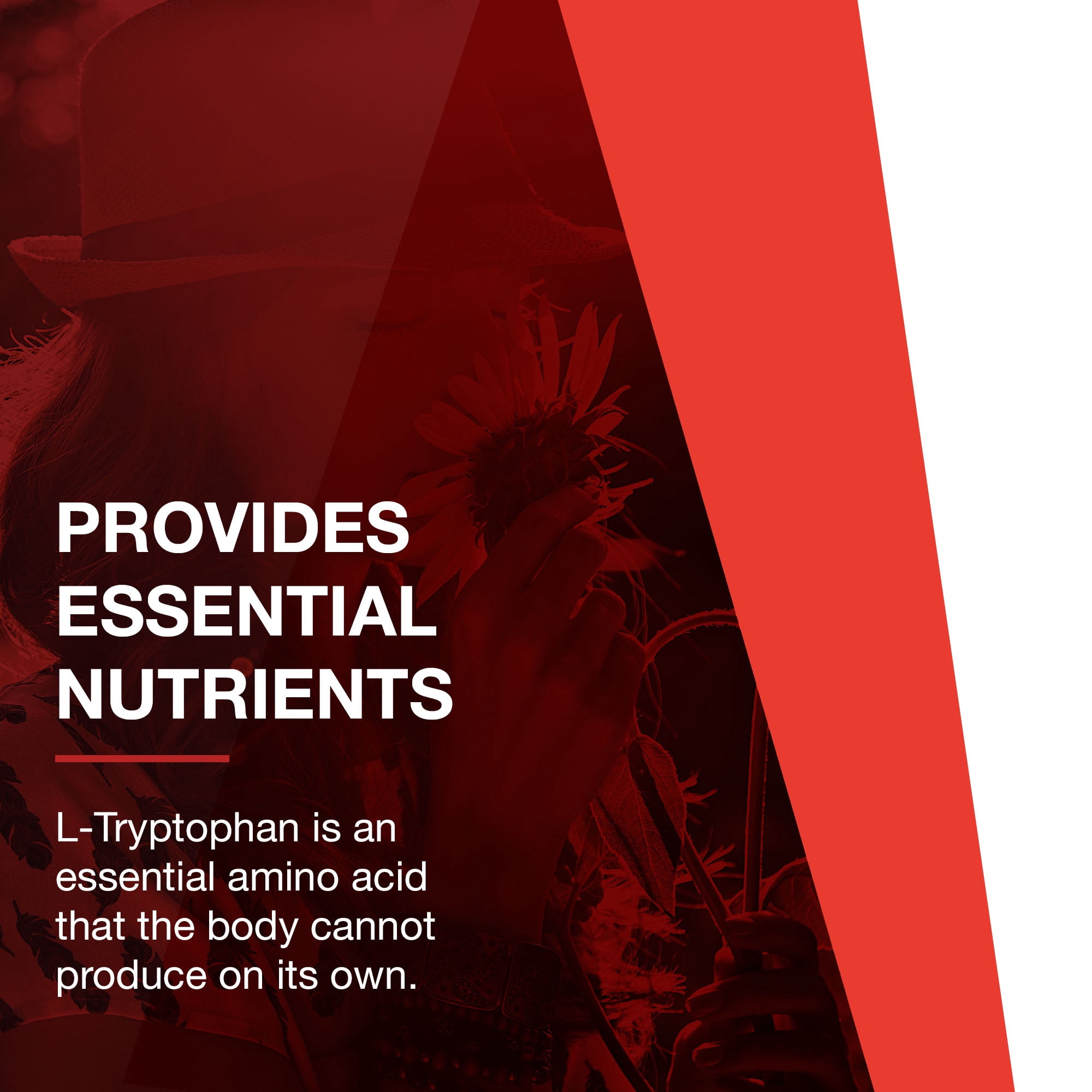 Protocol L-Tryptophan 1000mg - Mood Support, Sleep Support - 60 Tabs