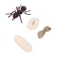thumbnail image 1 of 1 Set/4 Pcs Modèle de Cycle de Vie de Fourmi Rouge Simulation Jouet Cognitif pour Enfants, 1 of 3