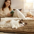 thumbnail image 5 of Self Heating Pet Mat for Cats and Dogs, Thermal Cozy Indoor Bed Pad with Non-Slip Bottom, Machine Washable No-Electric Warm Mat, 24 x 18 Inches, 5 of 7