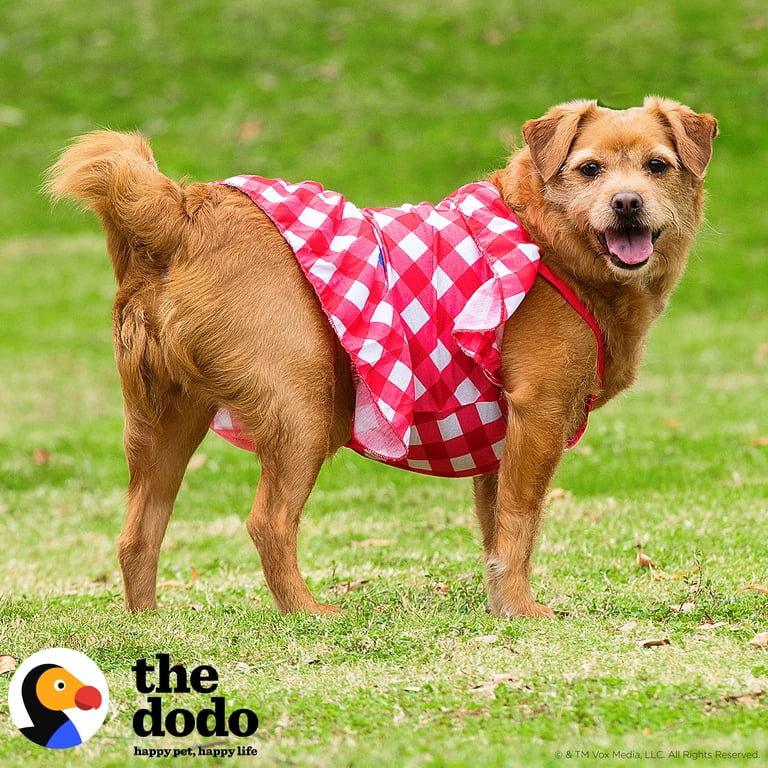 The Dodo Red Plaid Summer Dress for Dogs - Medium