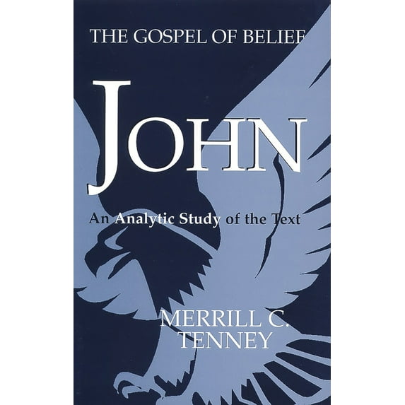 Pre-Owned John : The Gospel of Belief (Paperback)