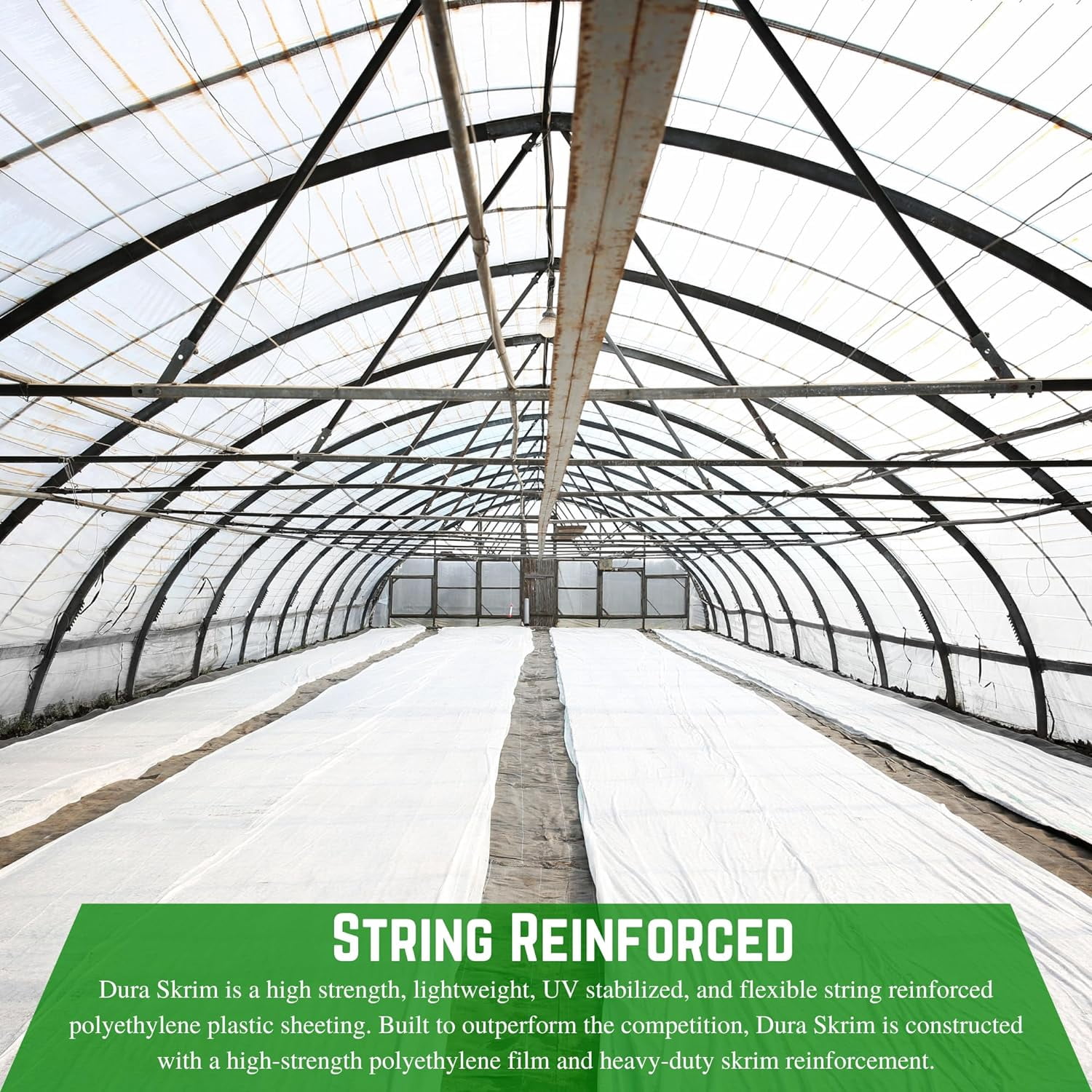 Farm Plastic Supply - String Reinforced 6 Mil White Plastic Sheeting - Overwintering Film, 6 Mil White Plastic Film, Greenhouse Plastic, Overwintering Plastic, Durable Plastic Sheeting (6' x 25')