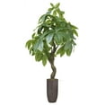 thumbnail image 1 of 42.25 in. Pachira Aquat Real Touch in Fiberstone Planter, 1 of 3