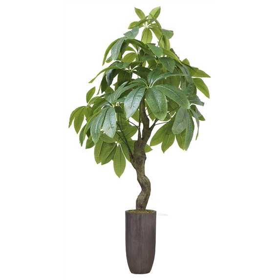 42.25 in. Pachira Aquat Real Touch in Fiberstone Planter