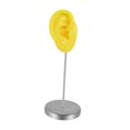 thumbnail image 2 of Modelo de oreja de silicona, parte del cuerpo, herramienta de enseñanza, maniquí reutilizable, organizador de orejas para Derecha amarilla, 2 of 9