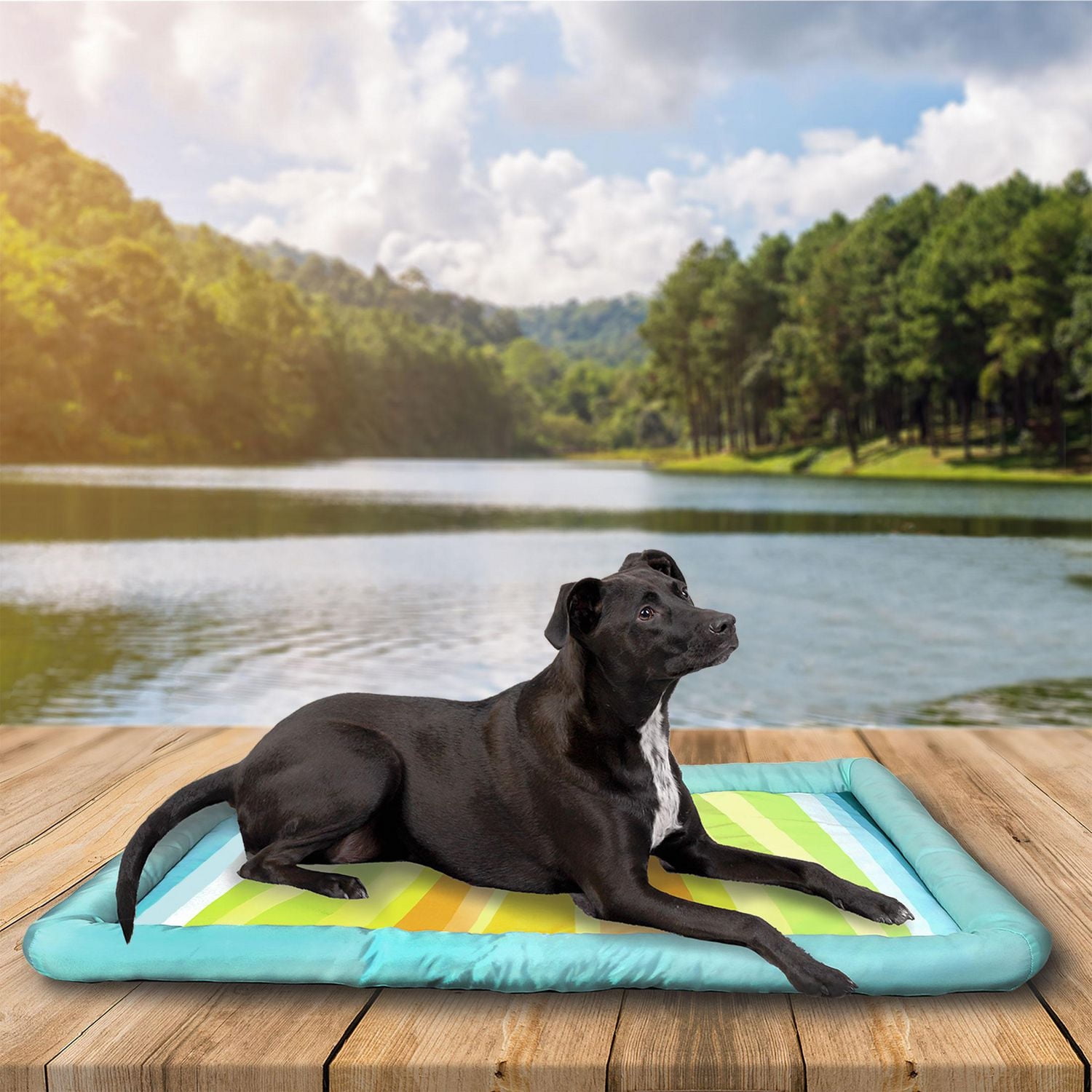 Pet Spaces 36x23in tapis de caisse pour chien de refroidissement