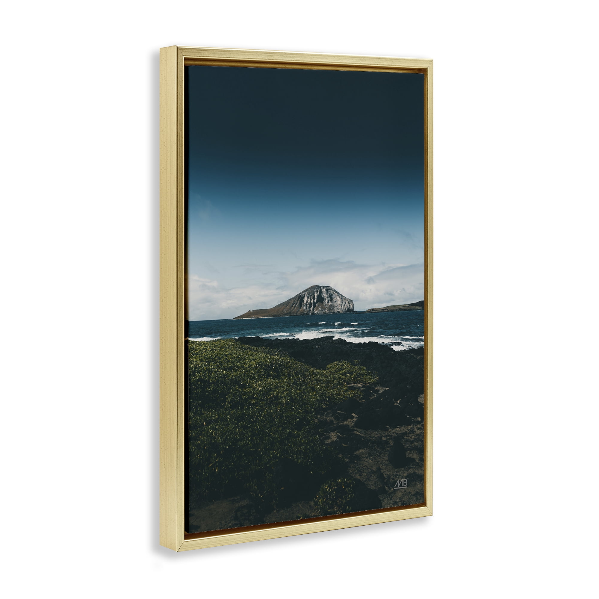 Stupell Industries Hawaiian Rocky Shore Landscape & Nature Photography Gold Floater Framed Canvas Art Print Wall Art, 17 x 25