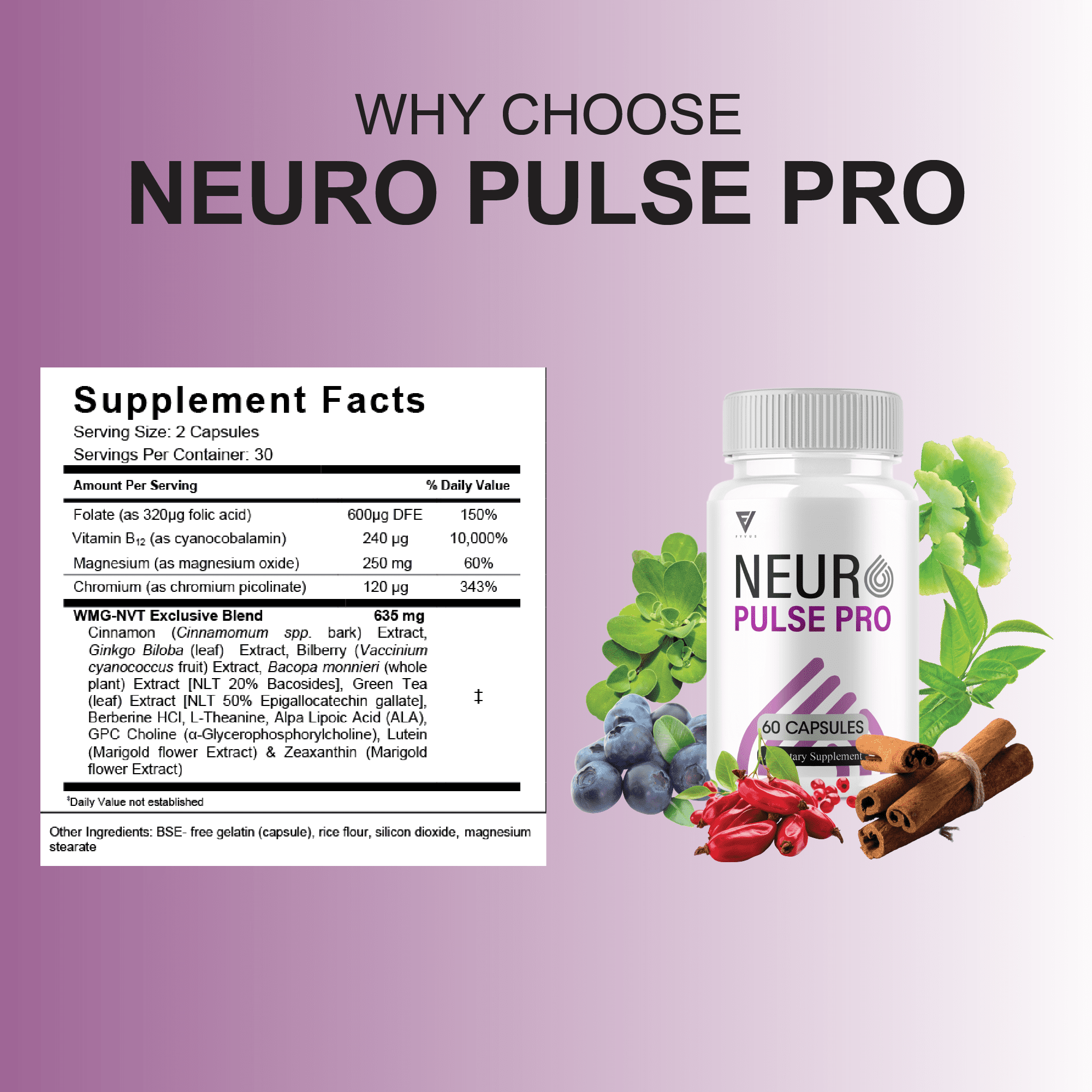 (2 Pack) Neuro Pulse Pro Brain Support, NeuroPulsePro Supplement (120 Capsules)