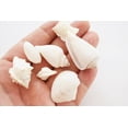 thumbnail image 3 of 2 Lbs (8 Cups) White Shell Mix (Medium Size Shells) for Beach Wedding, Coastal Cottage, Vase Filling and Ocean Crafts, 3 of 3