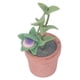 thumbnail image 5 of Planta En Miniatura, Simulación Multiusos Planta De Casa De Muñecas Resistente Al Desgaste Ligero Lindo Para Decoración De Casa De Muñecas 1/12, 5 of 7