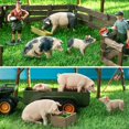 thumbnail image 2 of Juego de figuras Toymany Pig Farm Animal, 8 piezas, para niños pequeños, 2 of 9