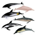 thumbnail image 3 of 6 uds Mini de delfines modelo miniatura juguetes de animales colección fiesta Favor Cake Toppers figuras de acción detalladas realistas para Macarena estatuilla de animales, 3 of 7