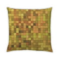 thumbnail image 1 of Ahgly Company Indoor Square Contemporary Throw Pillow, 18 inch by 18 inch, 1 of 5