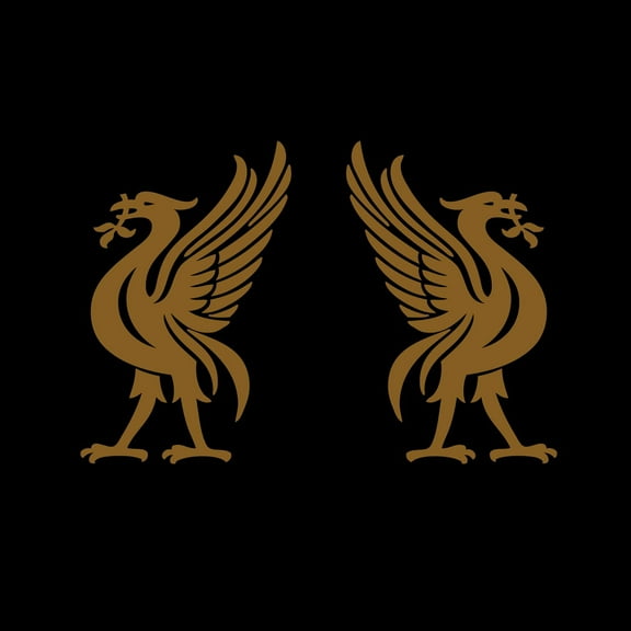 Joey Cape - Liverbirds - Music & Performance - CD