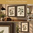 2framed Vintbotanical Wall Art (botany 12x16in Framed) - Walmart.com
