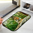 thumbnail image 3 of Floor Door Mats Bath Rugs Tiger in Zoo , Entry Rug Non-Slip Washable Indoor Door Mat, Small Oriental Accent Throw Rug for Bedroom Kitchen Entryway Bathroom 36x24in Carpet Runner, 3 of 7