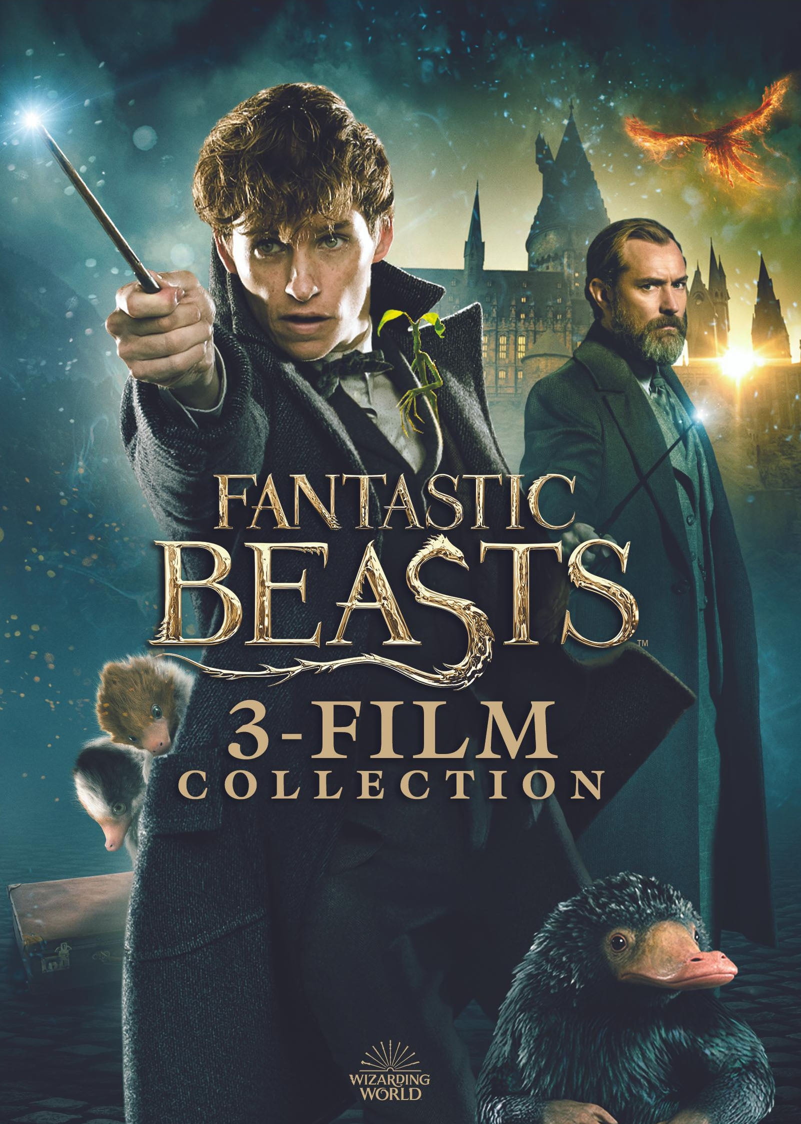 Warner Bros. Fantastic Beasts 3-Film Collection (DVD)